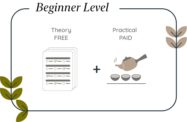 Tea Level Design Tea-Meisters